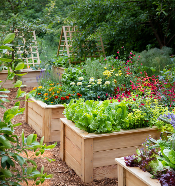 How to Build a Raised Garden Bed from Scratch