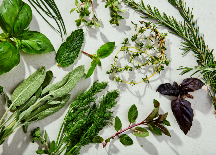 How to Grow and Cultivate Herbs for a Thriving Garden