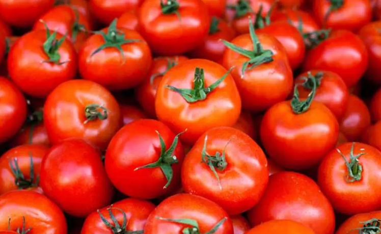 How to Plant and Grow Tomatoes