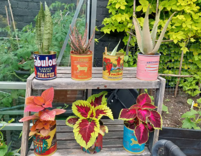 Upcycling Old Containers into Unique Plant Pots