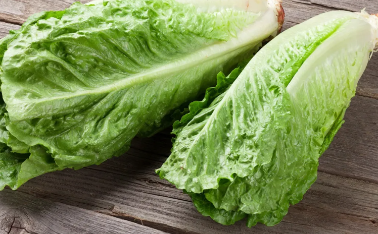 How to Plant and Grow Lettuce