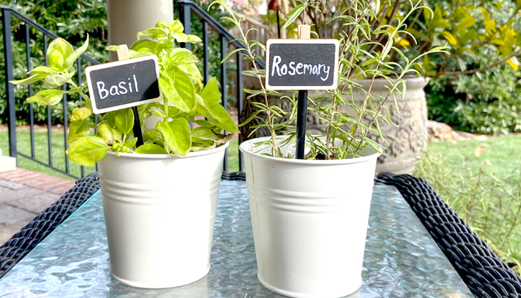 DIY Garden Markers: Creative Ways to Label Your Plants