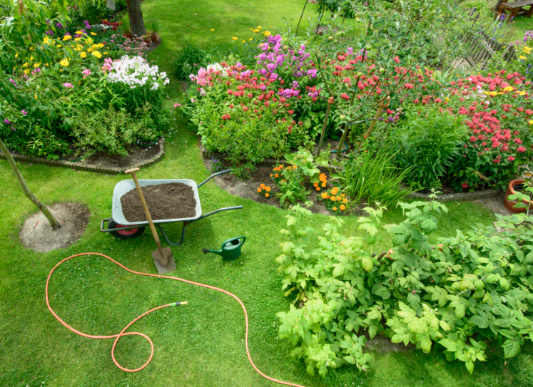 The Basics of Sustainable Gardening: How to Start Your Eco-Friendly Garden